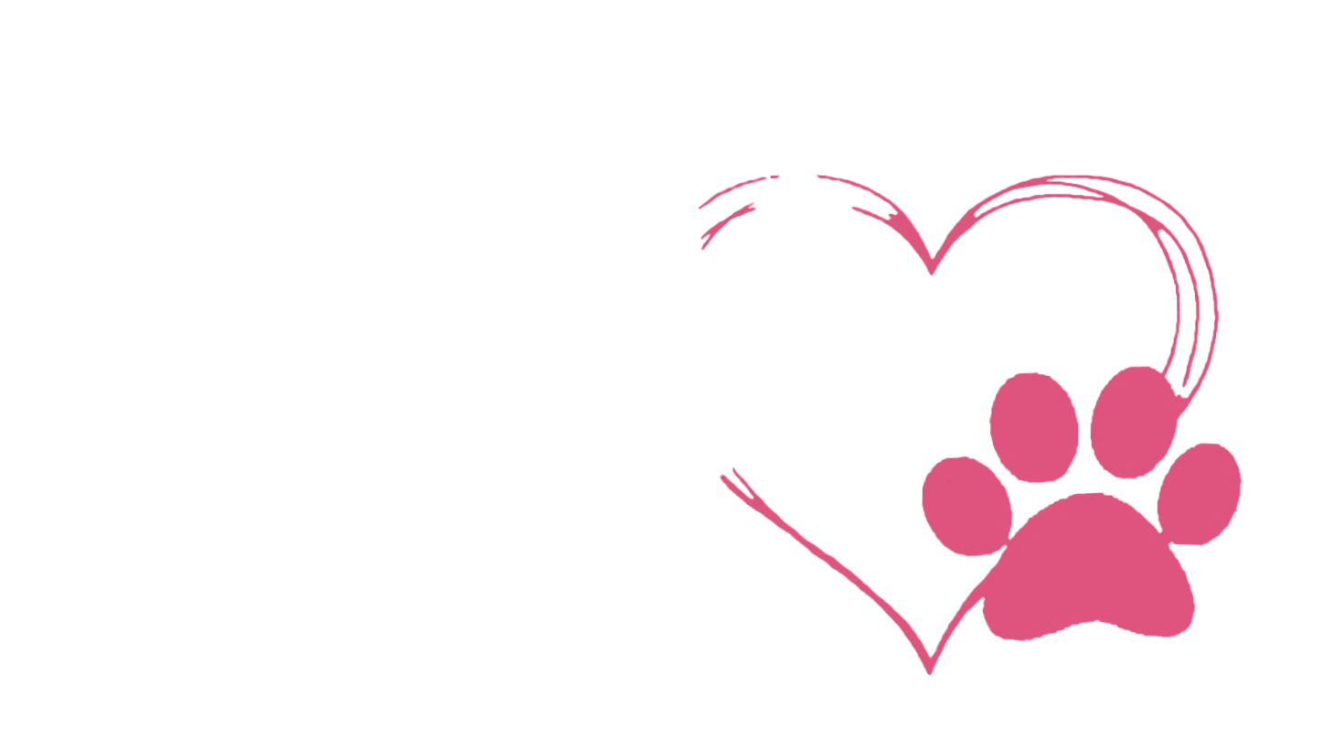 Doggy DayCare 